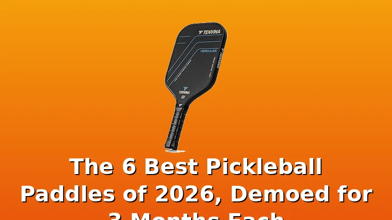 The 6 Best Pickleball Paddles of 2026, Demoed for 3 Months Each - PickleballPaddleScore review with measurements and honest opinion